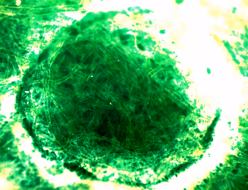 Item #71646257518770613568983710813551014237803002136866425209291834353948540534785 Media