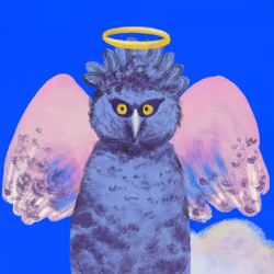 angel 008
