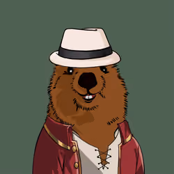 #12 Quokka Club Nft