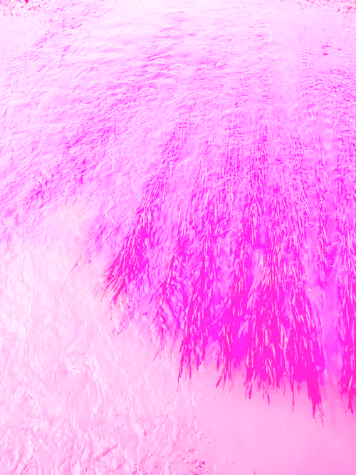 Item #98843954857266856101330559780238873570552098425130206222908041958281170649089 Media