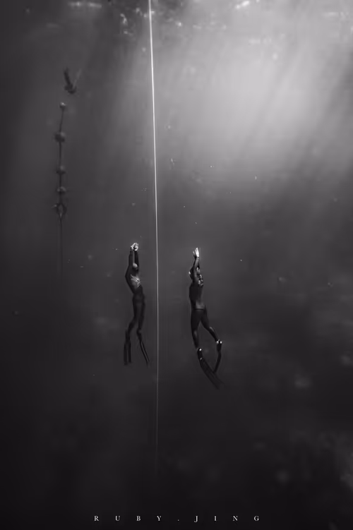 Item #75775185799272849085271004632709043340311400921657001030137476918245396054017 Media