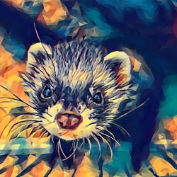 Petz Feret 95