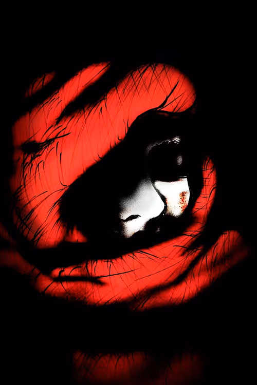 Item #39974079464020181660027109078356199167193943664145761603210955749032021983233 Media