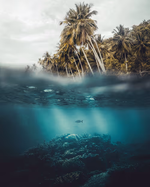 Item #134489906944514601836567189437532879130233761745768622289177295394061680641 Media