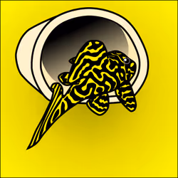 81664083123670143983968740139941474364733981378414170565535212284394623467521