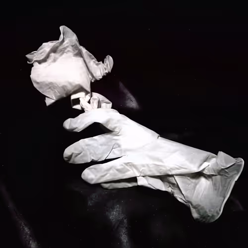 Item #19579465332489047460725573155417411555821182543570600011556976564204170379265 Media