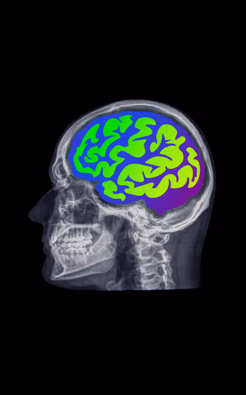 Item #24230885534779484670501703553684953274983737514794072512407783973060490559489 Media