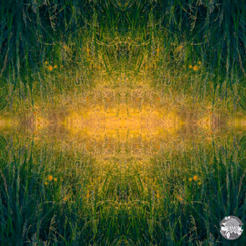 Item #91347118439362741551389333671966665312290753561976967806094161299857800691713 Media