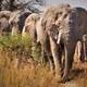 12004899374463612257359260549241543826985755358730125414052175630675820412929