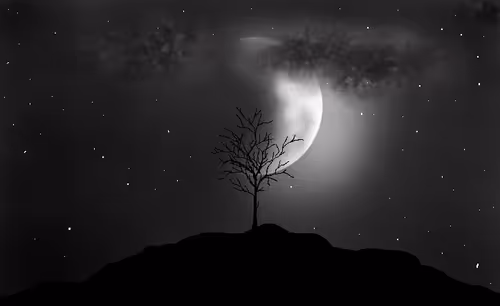 Item #16642225126016076553533447003489681109502795844658943898634438399351335157761 Media