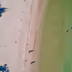 66784762729309499583475495671786414027607319110391020672197683842577061642241