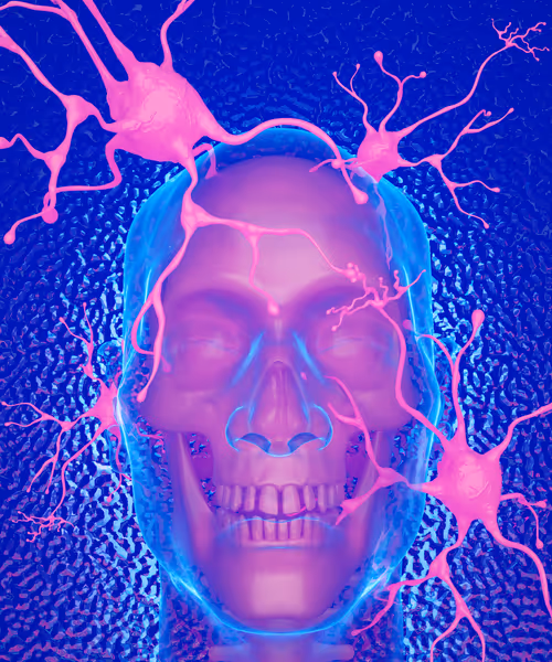 Item #69595591686022838800691822466020520100723003748053554392740615573781644050433 Media