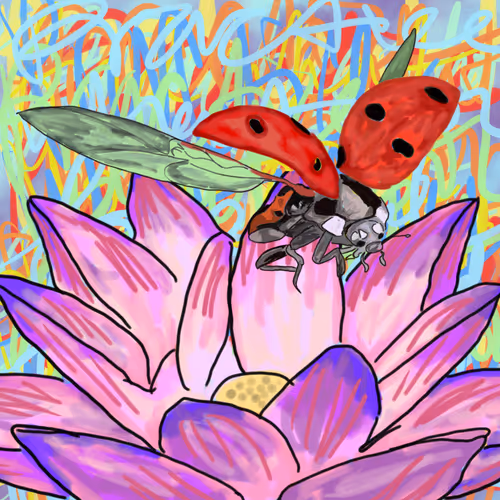 Item #63871723176816071077879539985746425099046408497422906195161330023717956222977 Media