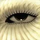 NFT experiment V4