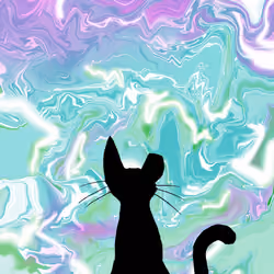 Basement Cat Visits Heaven