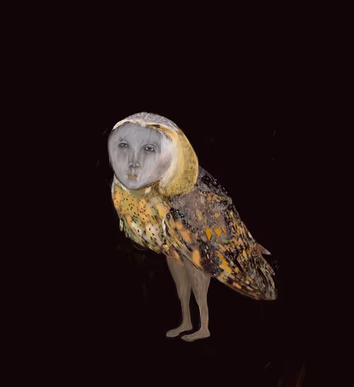 Item #31123813872274373281104257789160308506930923403208043792062521188291698491393 Media