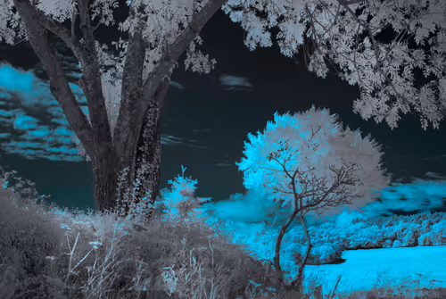 Item #105424874580272350249353180101820695324338341917620358577696675035525354094593 Media