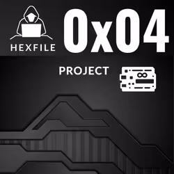 0x04