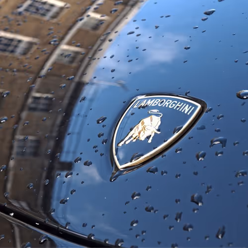 Lambo #1