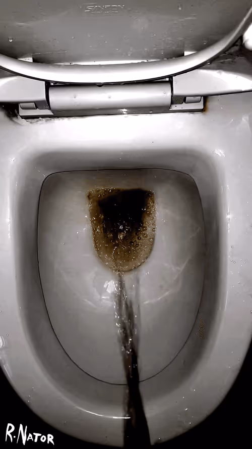 Item #12660136923828748263426703316480839463053827608546839420335323814005156347905 Media