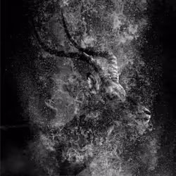 97390858549290517915673057044451120522321858296040786888435299459498422304769