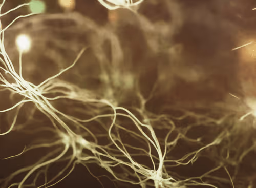 Item #98695163844141812296559601516468632585703412525772017875852753303343833546753 Media