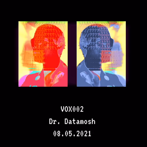 VOX002 - Dr. Datamosh