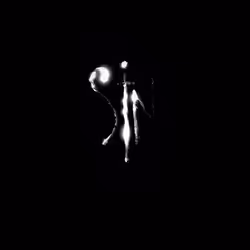 40451459638781441691219653750974718112591041114717052253257169819995918565394