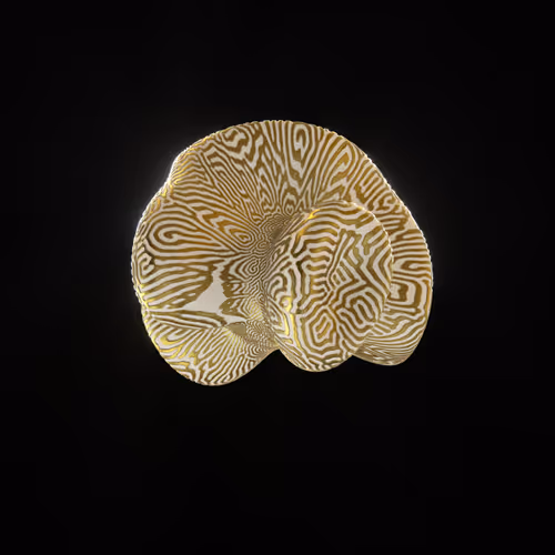 Item #83535453821146316306178013320250520096293247508023240542449518700027613020161 Media