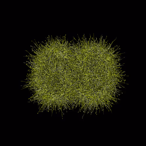 Item #31186271462743839332083495437684930572283654238385709344730710942114939666433 Media