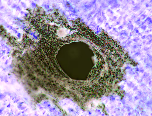 Item #71646257518770613568983710813551014237803002136866425209291833876760494080001 Media