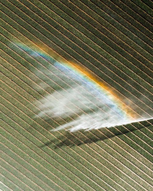 Item #3461261320663593426900354360876375017663922749216533272399435673014376595457 Media