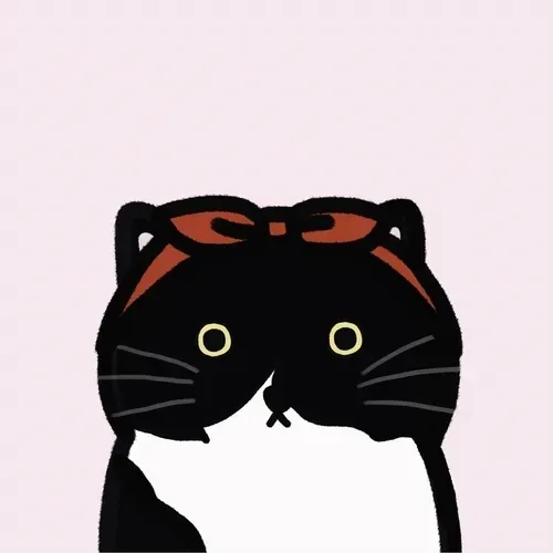 DING DING THE CAT