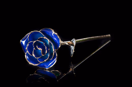 Item #22969295015453494261367825121290153757090535459802507599951433498049313243137 Media