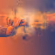 110309724135521074797221568423997231571305470021161684924790098882441831776257