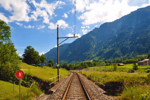 Item #92971587401879212914465603849674525645265351012255145539777938633392488710150 Media