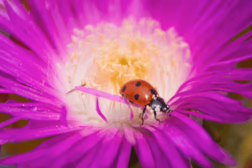 Item #6505089431552554568137386774614394979265528746054988378978093602794962419713 Media