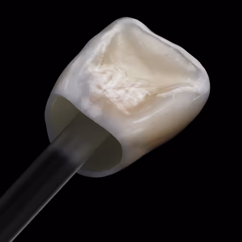 Item #62232289940205459480907166310422704462499916562185049757007232057714969411585 Media