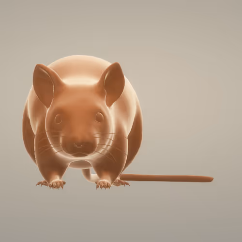 trapXmouse Collection