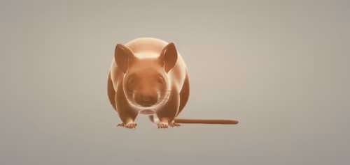 Item #5247822981312129890696064404494627190433803792348573331218802973736347631617 Media