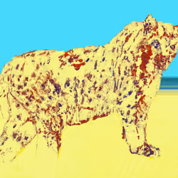 Lynx #13