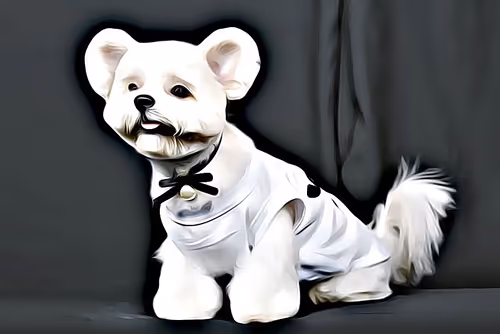 Item #21607923784025543658024067331009769919395041958272689574271021130956993986561 Media