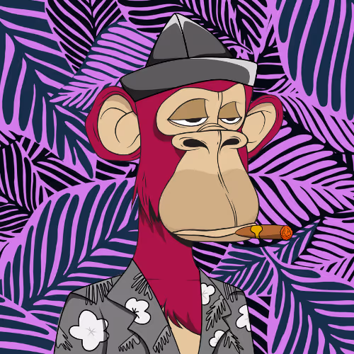 Item #97908454170988634188757018443086631877406421066008830658648350886717711974401 Media