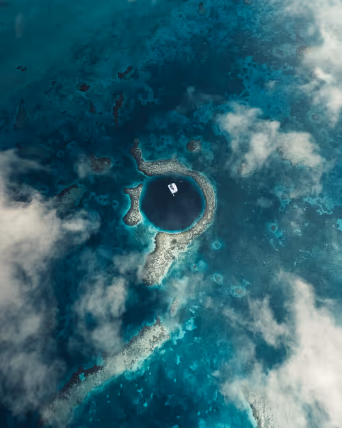 Item #14416656700475663864726672344569766568452912279528818547653479114238960074753 Media