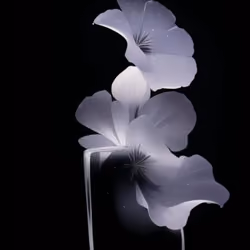 plena poculum #10