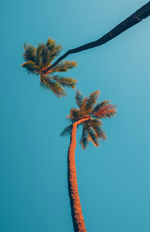  Somewhere Else: 052 - Permanent Vacation