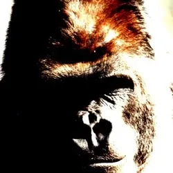 tyson gorilla#4
