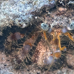 80965803268169370603932631570667161375508893671094224909166963920404249313281