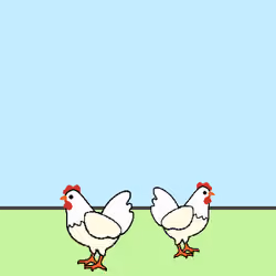 Digital Chicken Hyn & Qyn