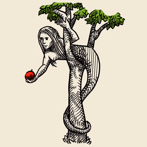 Item #57319268697671272436603797110060872632708398562227121989192562682179723722753 Media